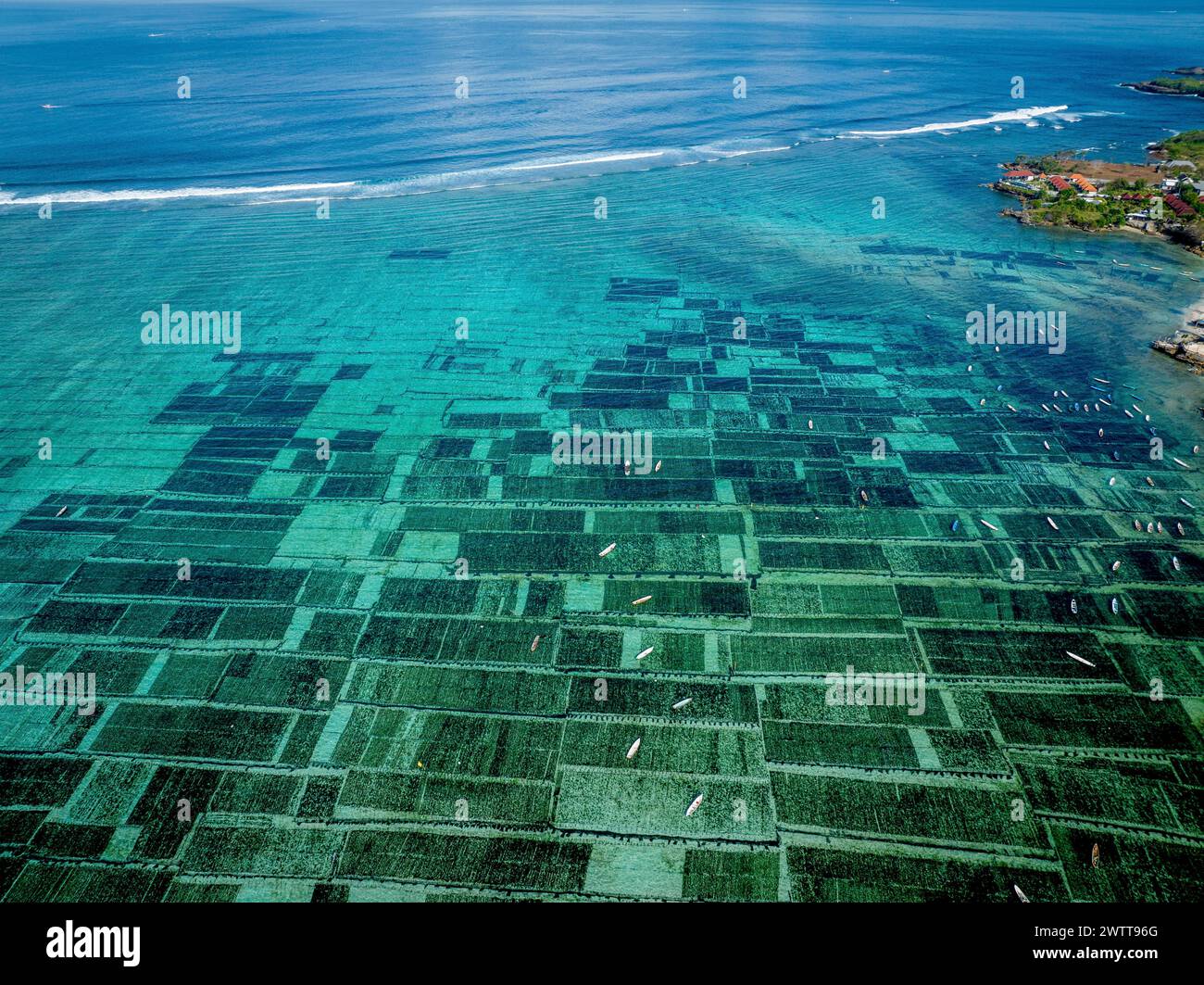 Luftaufnahme von Algenfarmen in klarem blauem Wasser Stockfoto
