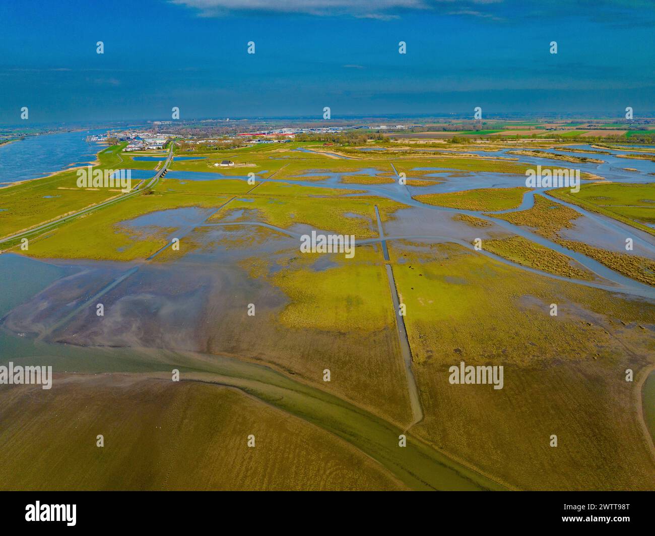 Aus der Vogelperspektive auf ein grünes Feuchtgebiet unter einem riesigen blauen Himmel Stockfoto