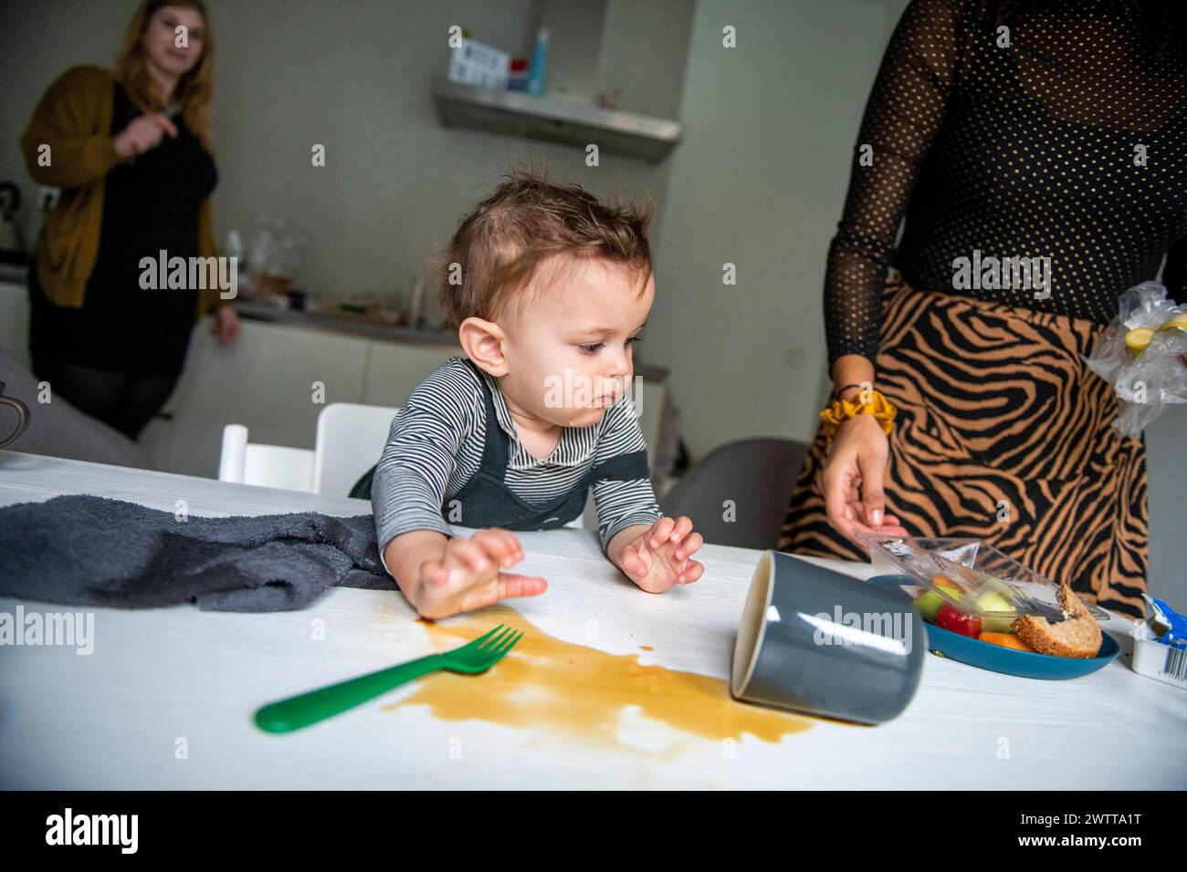 Ein neugieriges Kleinkind untersucht eine umgekippte Tasse auf einem Küchentisch, während Erwachsene zusehen. Stockfoto