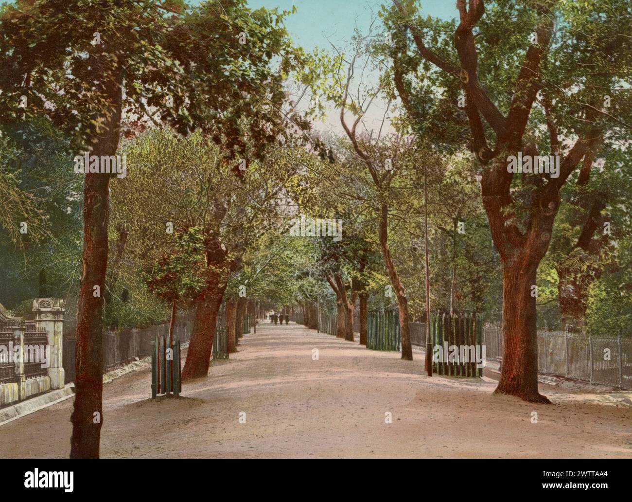 Government Avenue, Kapstadt, Südafrika um 1893 Stockfoto