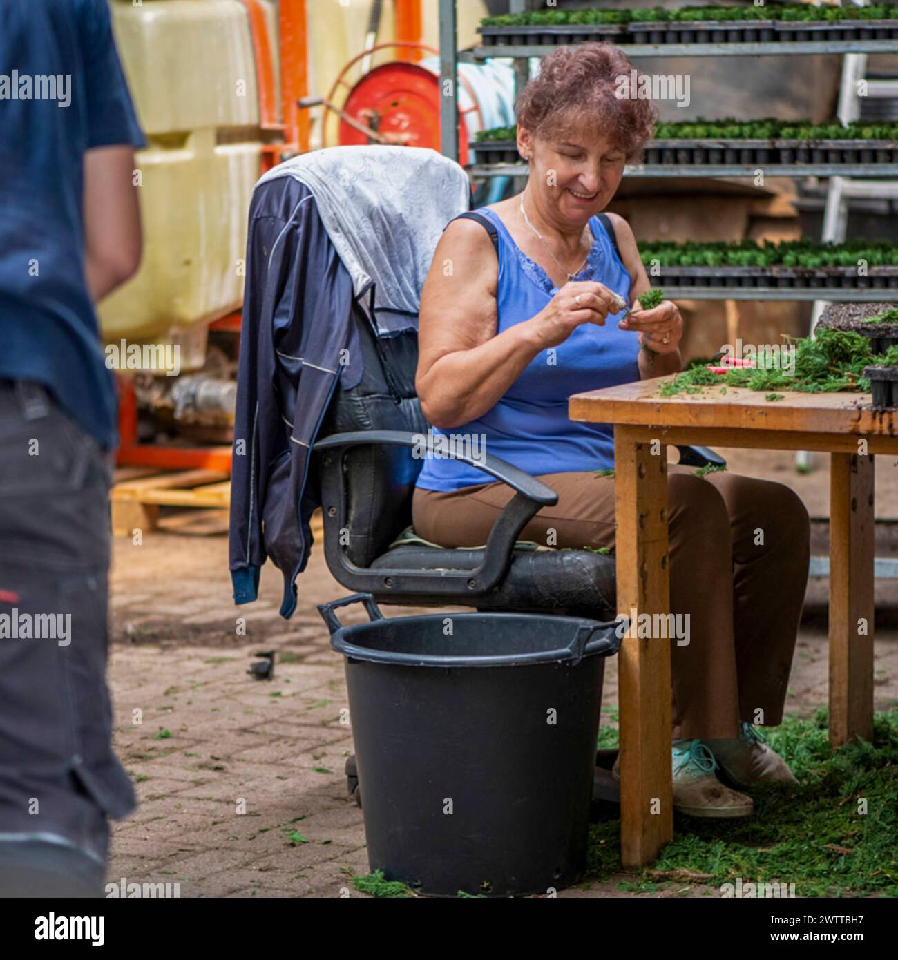 Eine ältere Frau, die gerne Gartenarbeit im Freien macht. Stockfoto