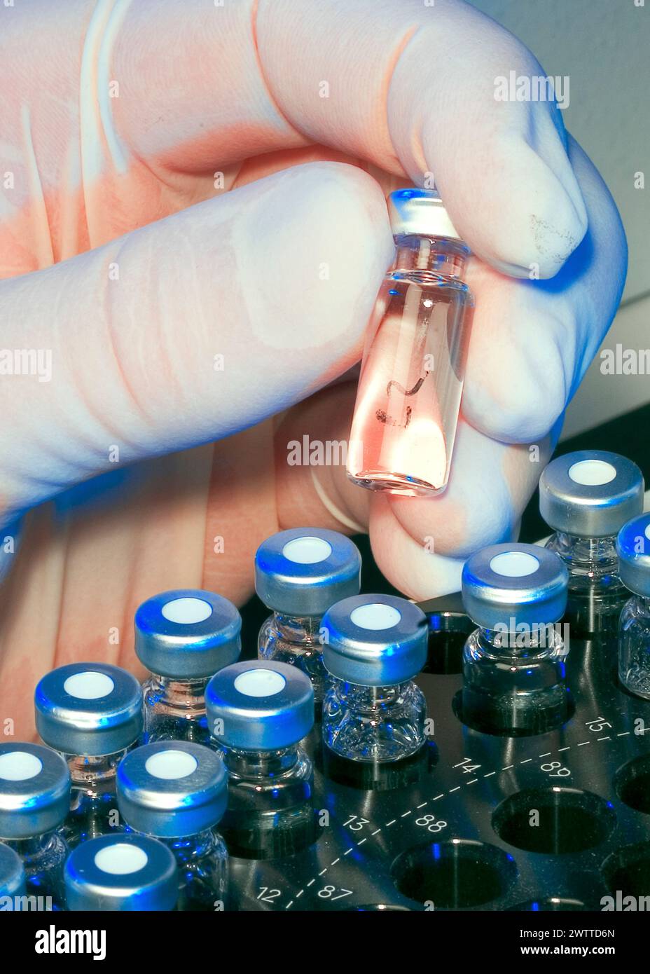 Wissenschaftler untersucht ein kleines Fläschchen mit Substanz im Labor Stockfoto