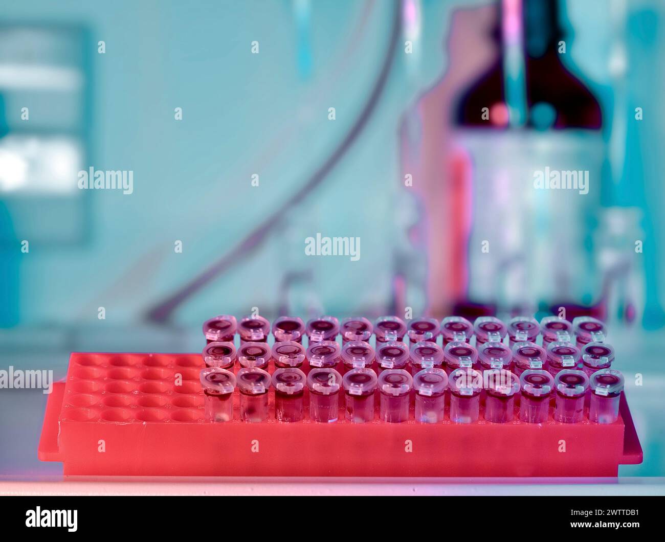 Ein lebendiger Blick in ein Labor mit Reagenzgläsern Stockfoto