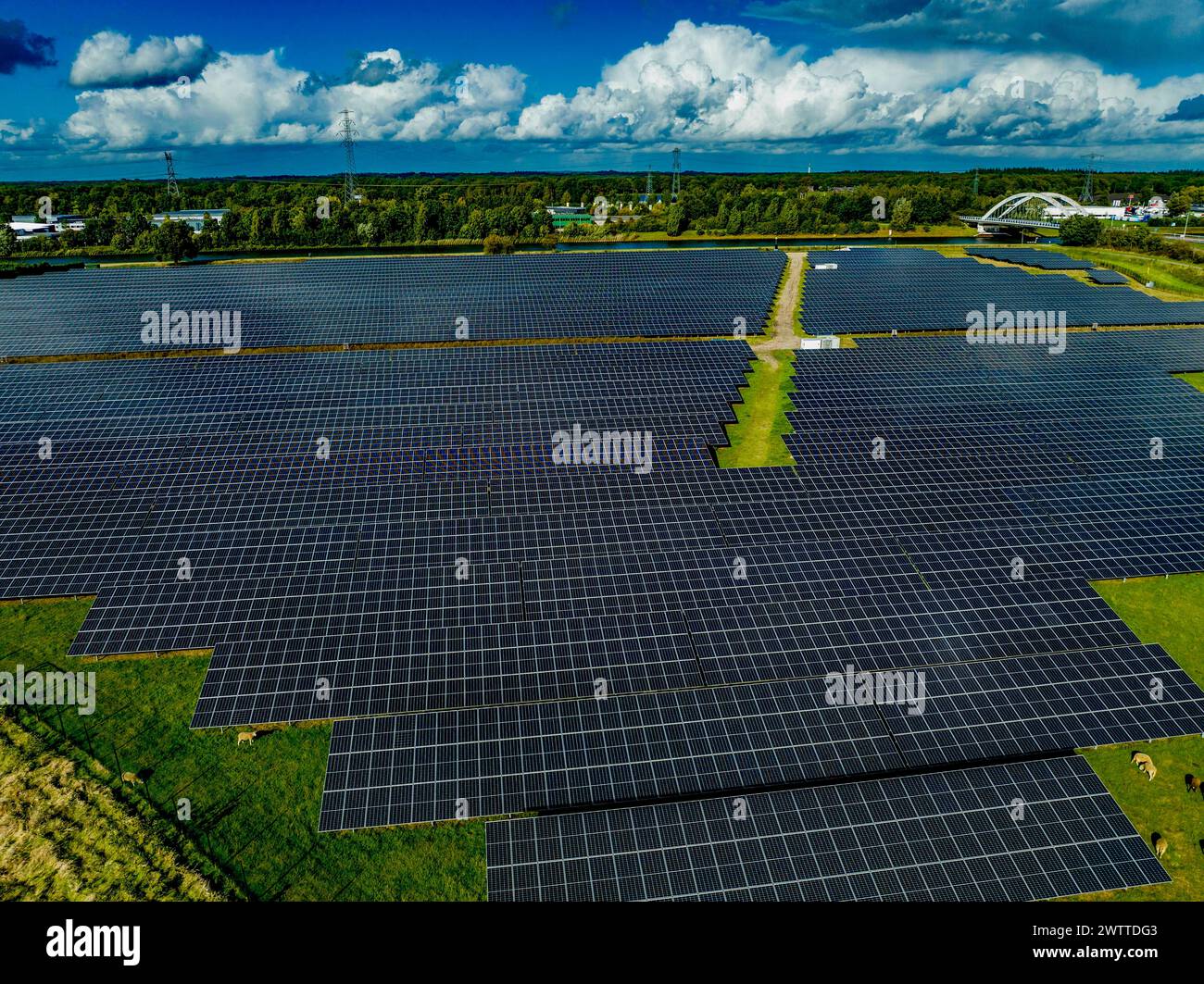 Ein riesiger Solarpark, der sich unter einem bewölkten Himmel erstreckt. Stockfoto