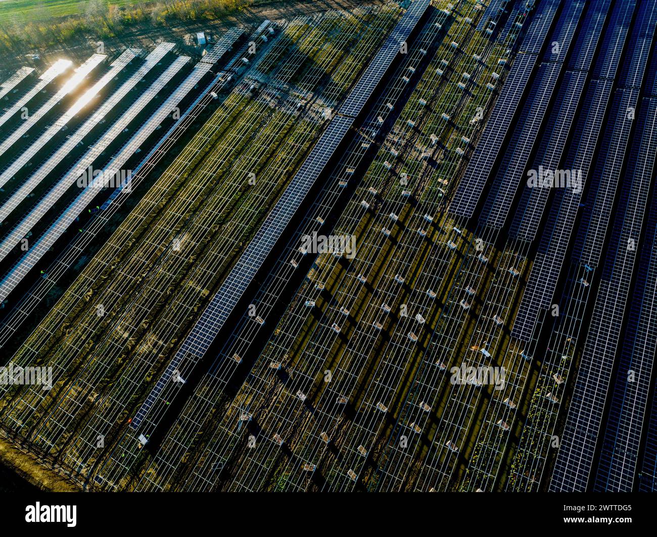 Luftaufnahme des Solarparks bei Sonnenuntergang Stockfoto