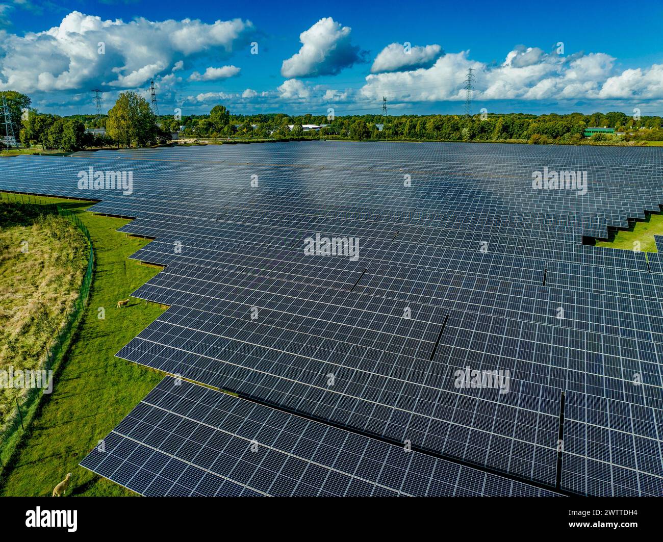 Riesiger Solarpark, der sich über die Landschaft unter einem teilweise bewölkten Himmel erstreckt Stockfoto