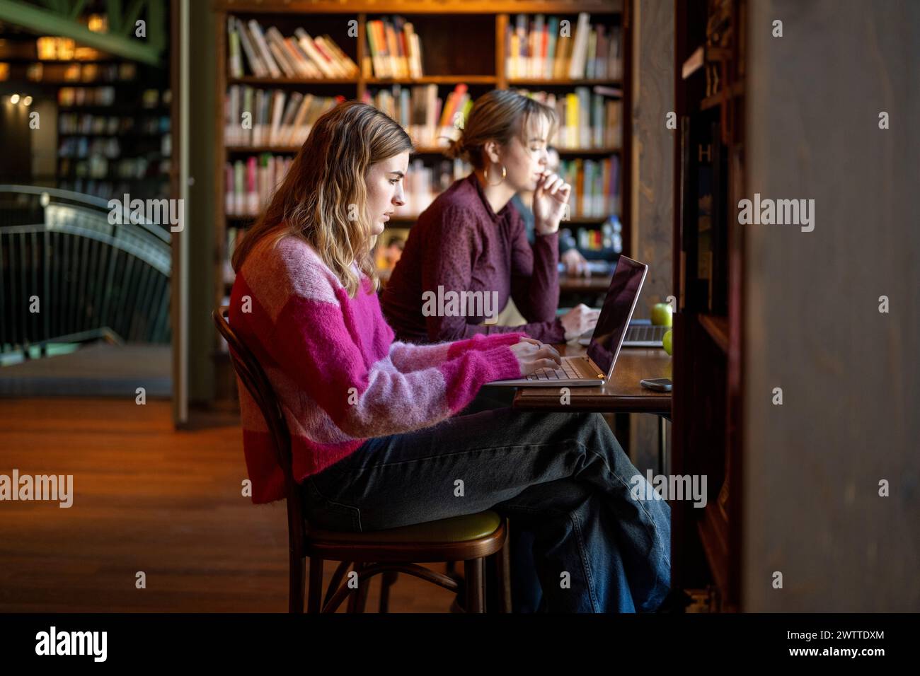 Zwei Frauen konzentrierten sich auf ihre Arbeit in einer gemütlichen Bibliothek. Stockfoto