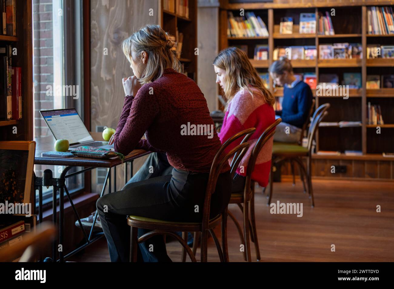 Fleißige Atmosphäre, in der sich einzelne auf ihre Arbeit in einer gemütlichen Bibliothek konzentrieren. Stockfoto