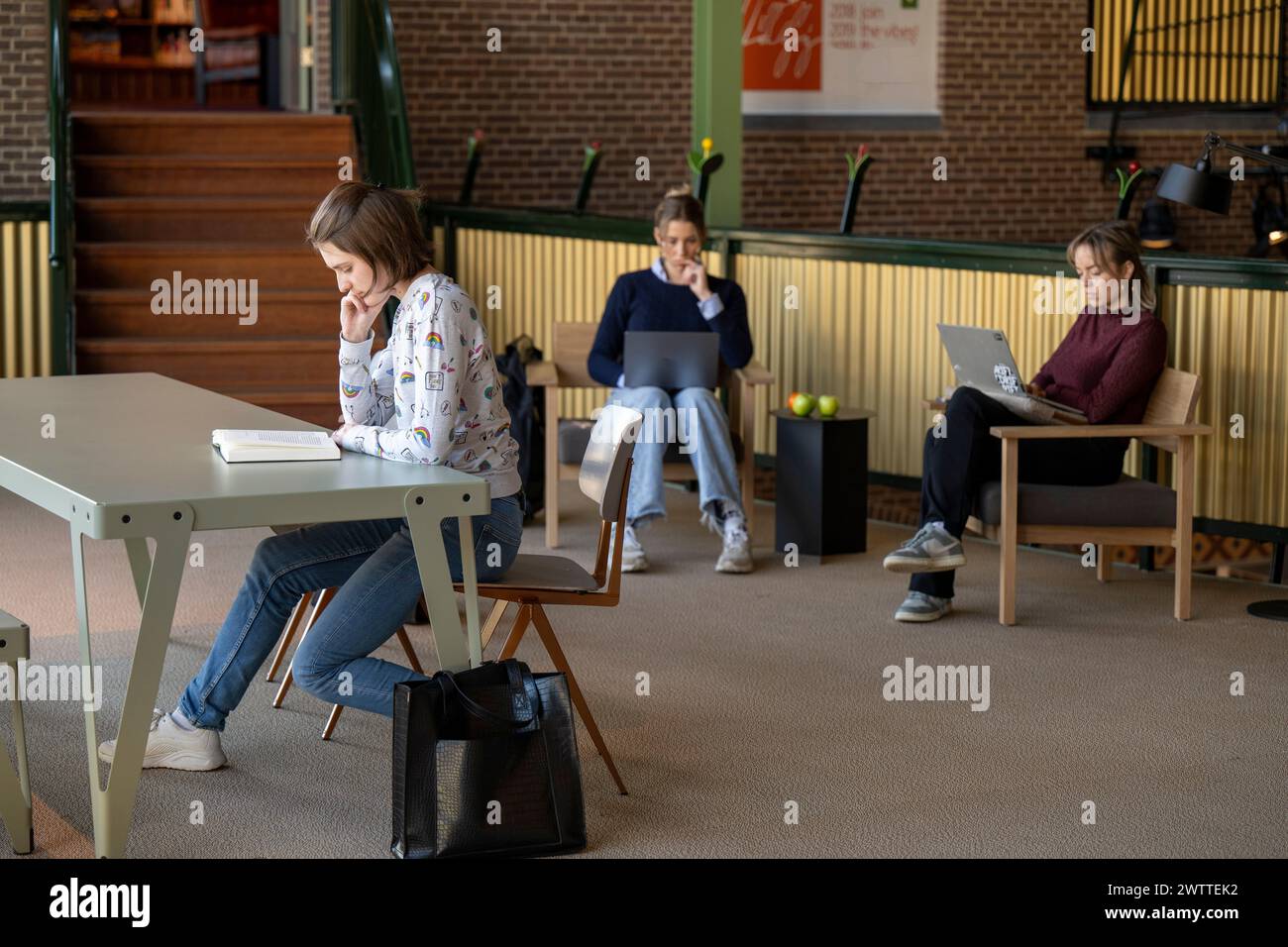 Drei Studenten konzentrierten sich auf ihre Arbeit in einem modernen Studiensaal. Stockfoto