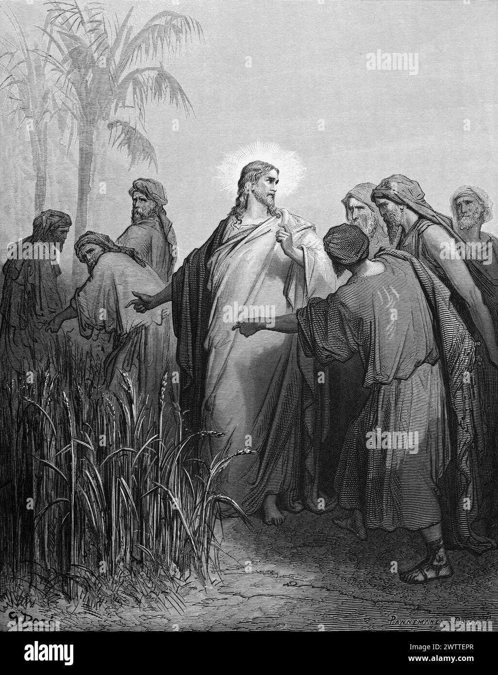 Jesu Jünger pflücken am Sabbath, Altes Testament, Bibel, Exodus 34, historische Anustration 1886 Stockfoto