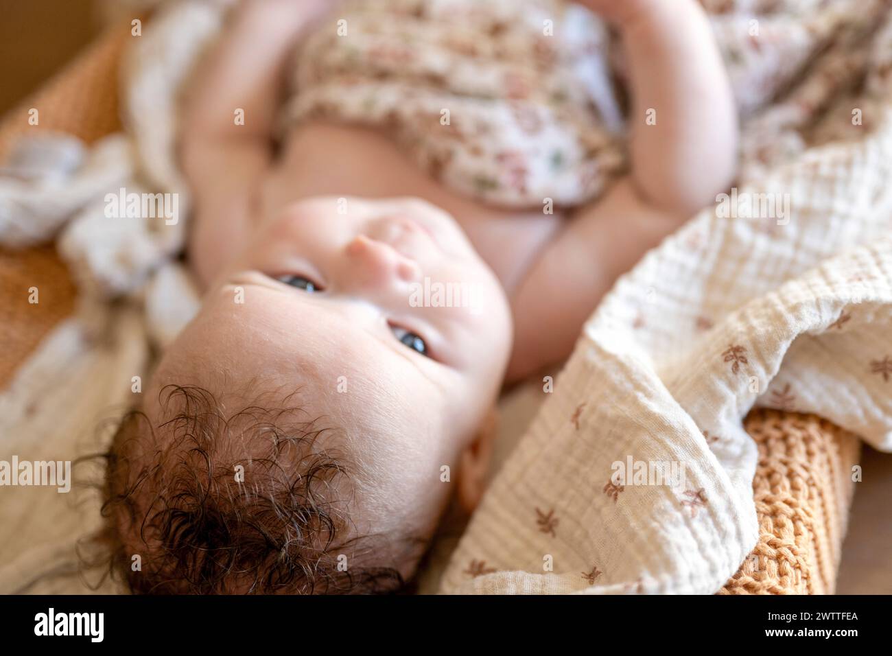 Das Baby blickt neugierig, während es sich inmitten gemütlicher Decken hinlegt. Stockfoto