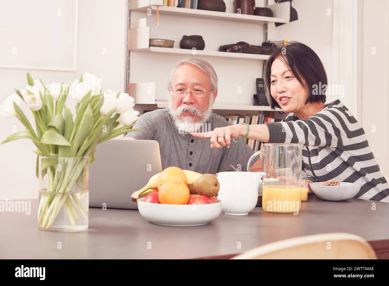 Älteres Ehepaar, das zu Hause einen Laptop benutzt Stockfoto