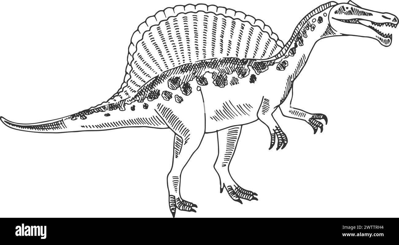 Spinosaurus-Dinosaurier-Skizze. Prähistorische Reptilientierzeichnung Stock Vektor