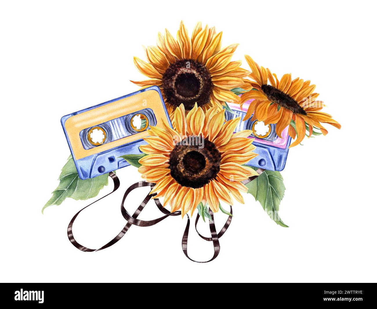 Sonnenblumen und Audiokassetten mit Klebeband. Blumenkopf, Blätter. Magnetbänder. Kompakte Vintage-Kassetten in verschiedenen Farben. Musik, Sound, Playlist Stockfoto