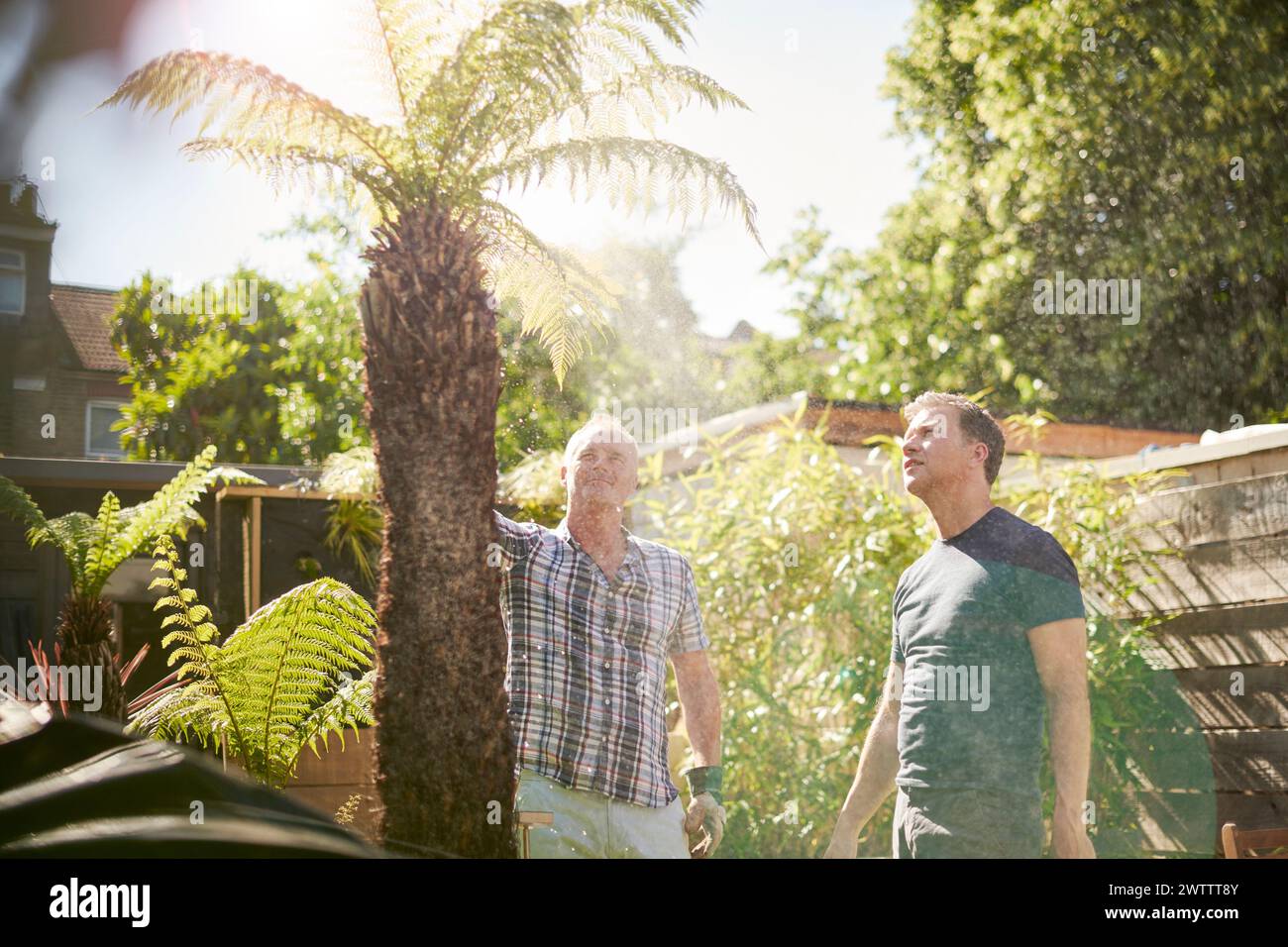 Zwei Männer unterhalten sich in einem sonnigen Garten. Stockfoto