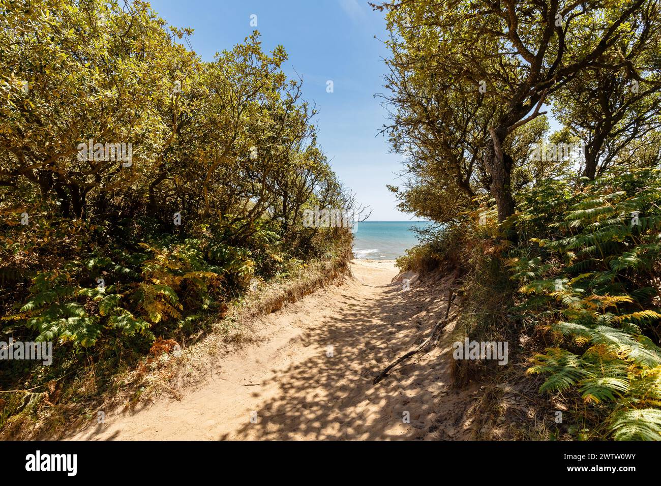 Blick auf den Strand von La Mine in Jard sur Mer, Frankreich an einem Sommertag, Vendée, Frankreich Stockfoto