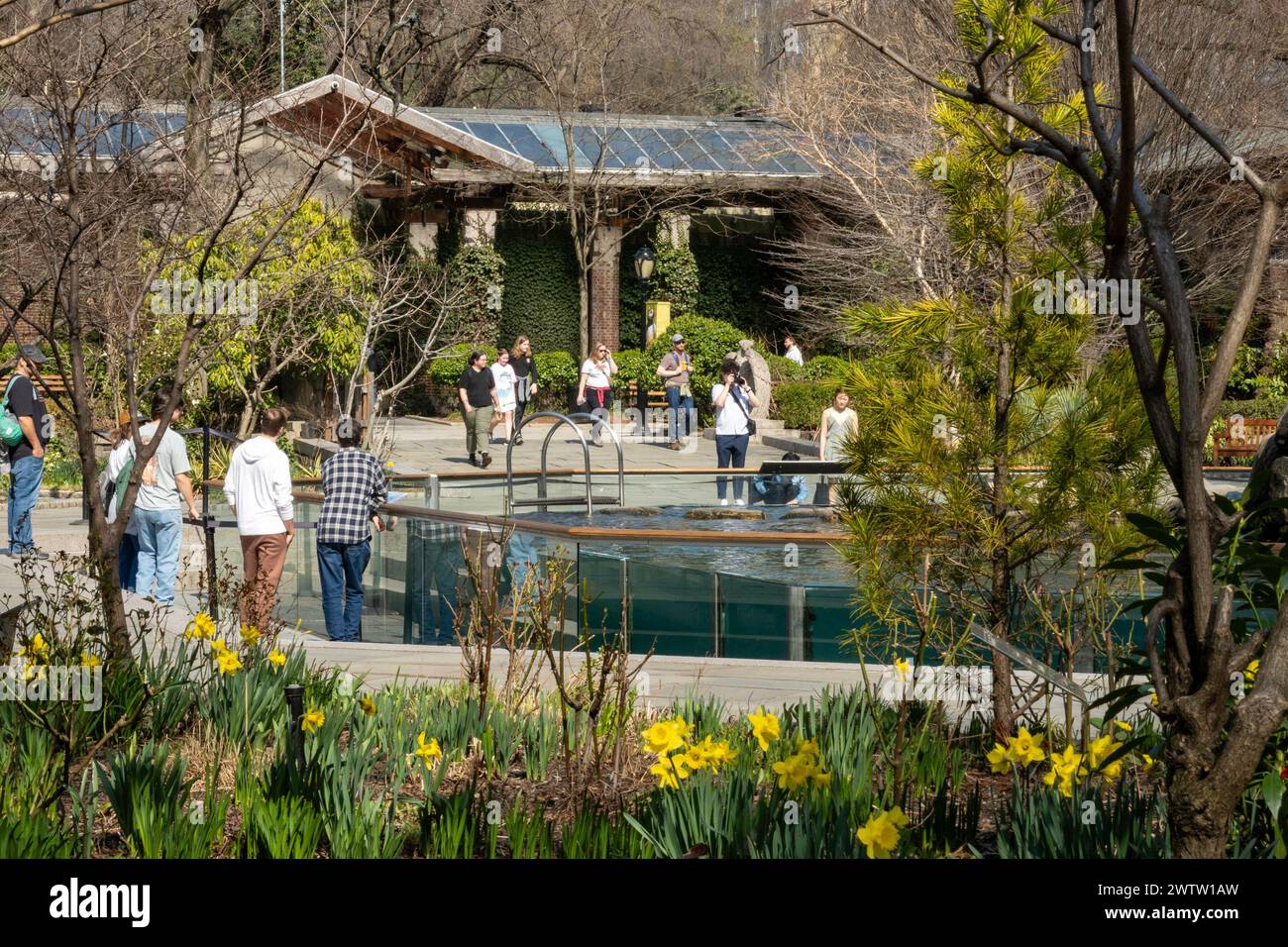 Der Zoo im Central Park ist im Frühling beliebt, New York City, USA 2024 Stockfoto