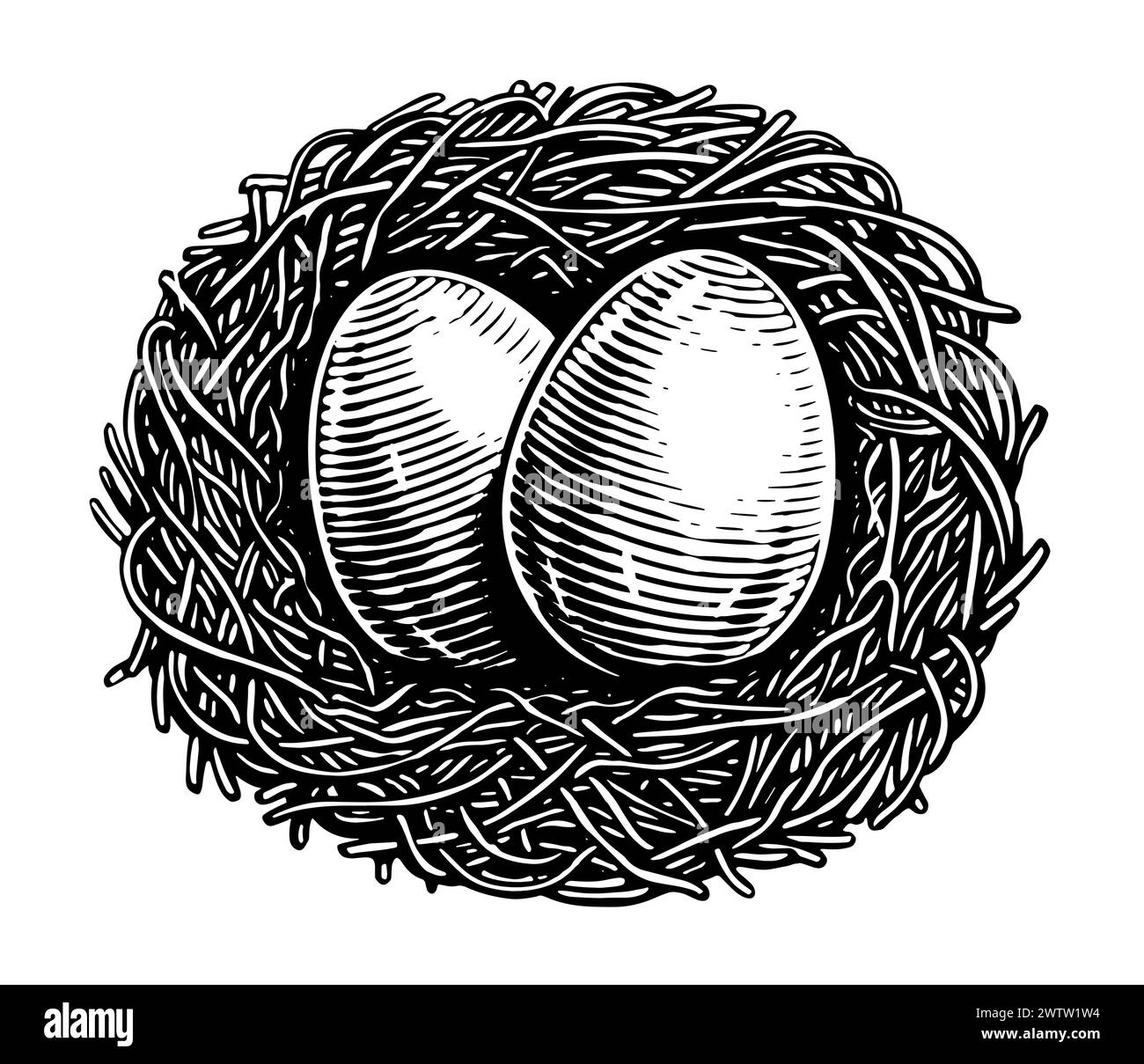 Nest mit isolierten Eiern. Handgezeichnete Skizze Vintage Illustration im Gravurstil Stock Vektor