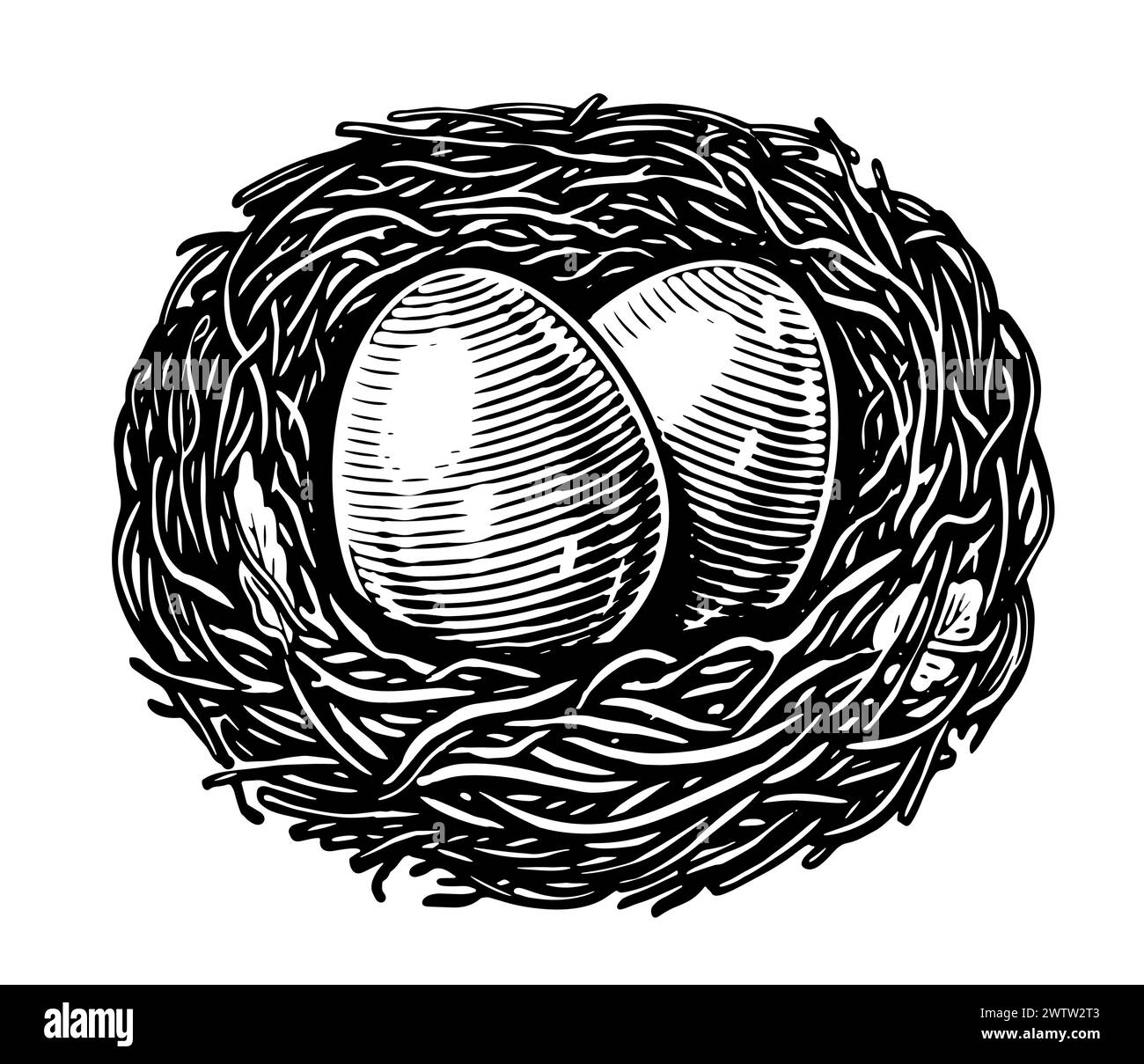 Eier im Nest isoliert auf weißem Hintergrund. Handgezeichnete Skizze Vintage Illustration im Gravurstil Stock Vektor