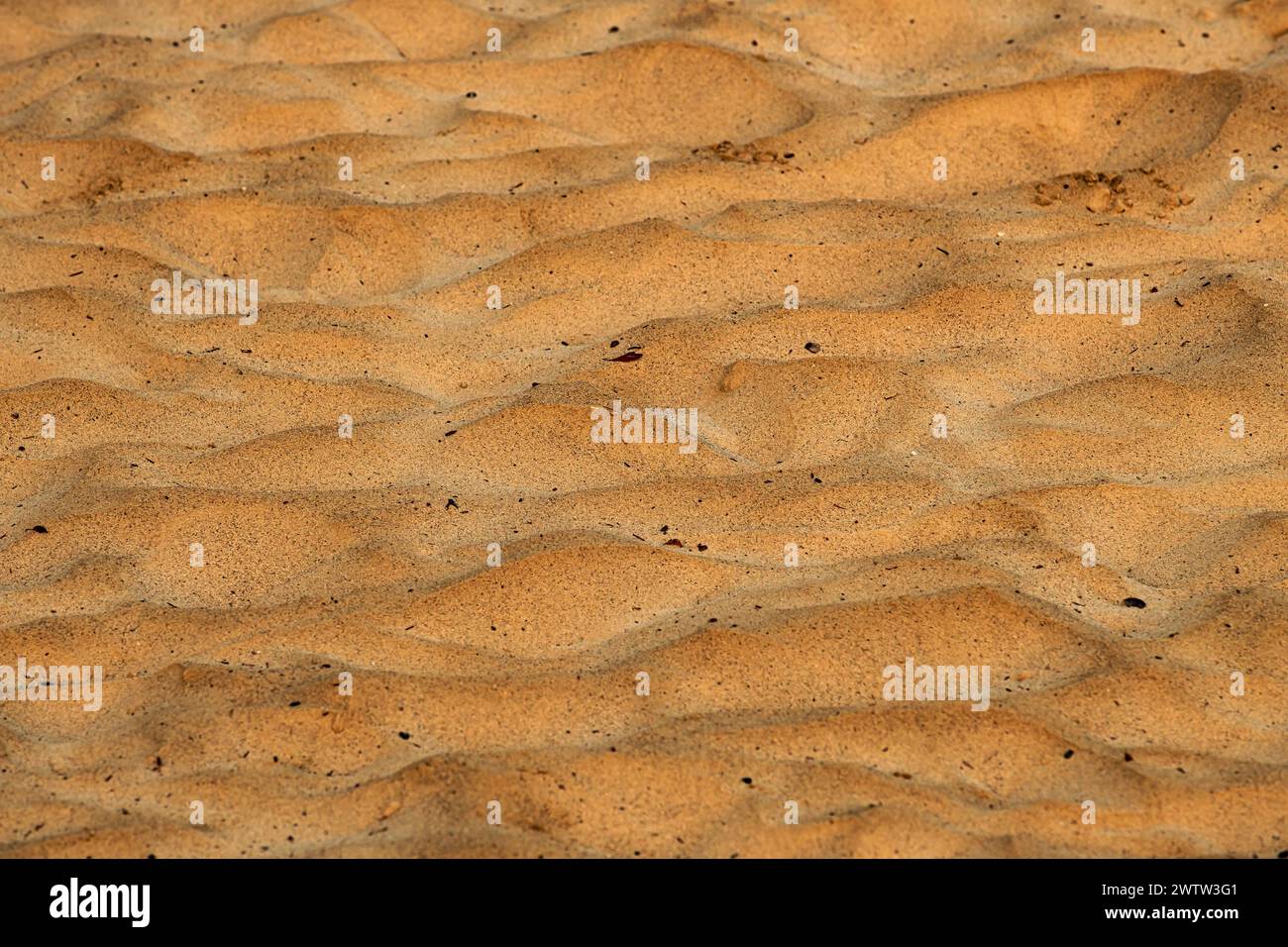 Textur schmutziger Sandoberfläche als Hintergrund, selektiver Fokus Stockfoto