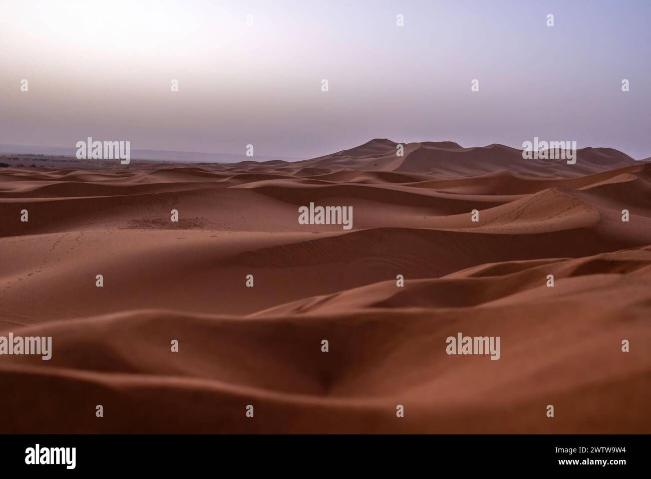 Authentischer Blick auf die Sanddünen der sahara in marokko, afrika Stockfoto