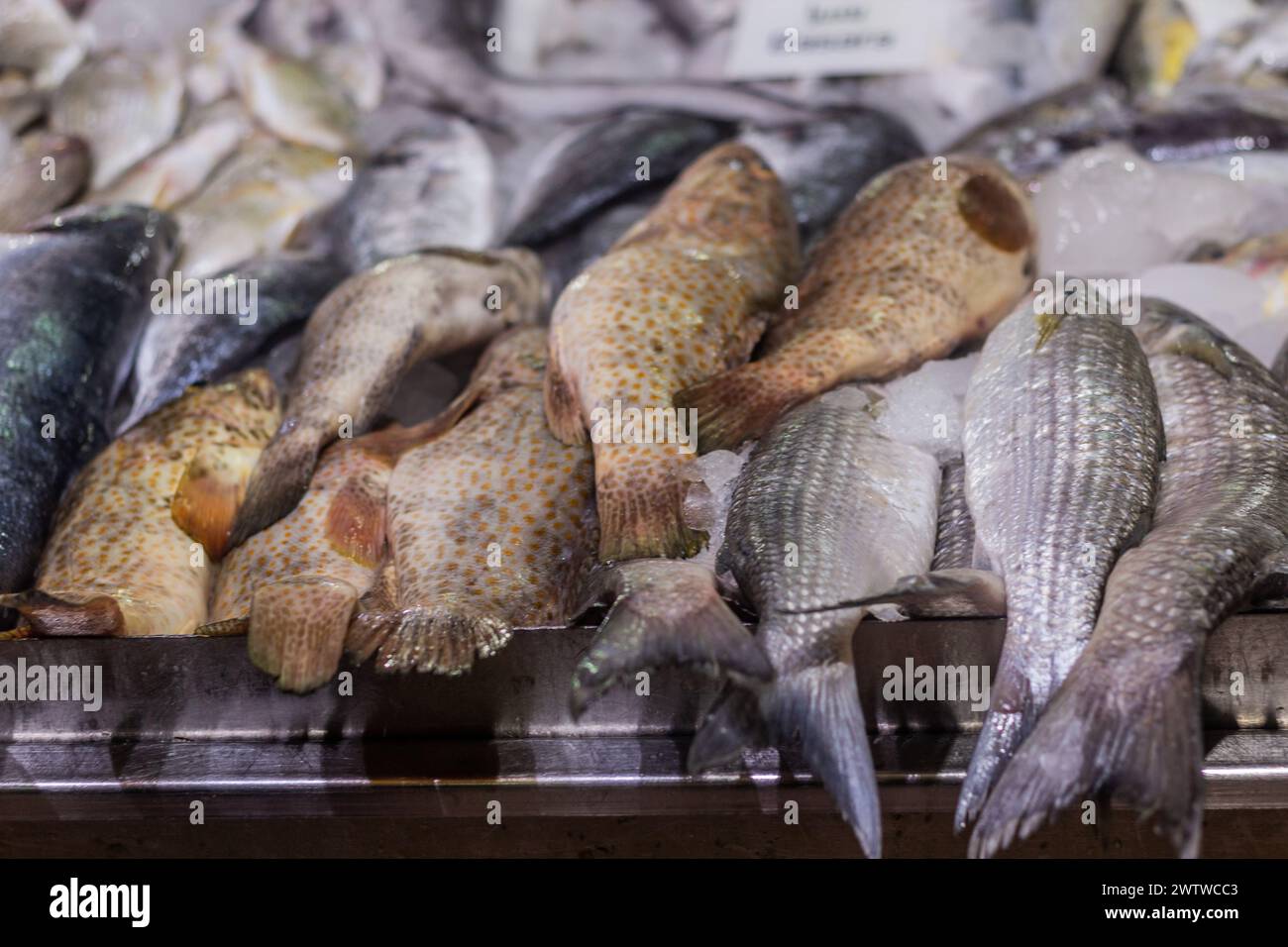 Fisch zum Verkauf auf dem Al Mina Market in Abu Dhabi, Vereinigte Arabische Emirate. Stockfoto