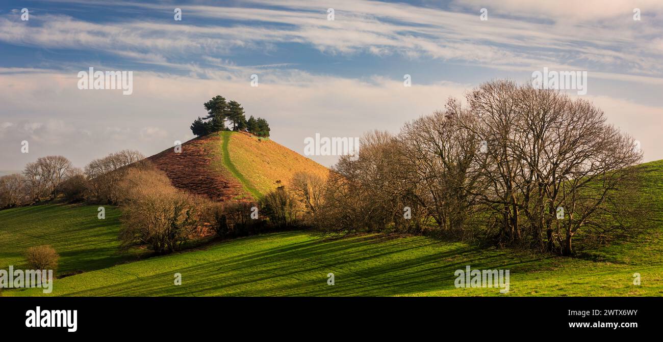 Der wunderschöne Colmers Hill in der westlichen Dorset Landschaft im Südwesten Englands Großbritannien Stockfoto