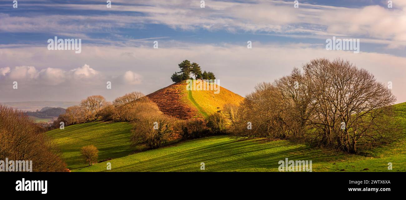 Der wunderschöne Colmers Hill in der westlichen Dorset Landschaft im Südwesten Englands Großbritannien Stockfoto