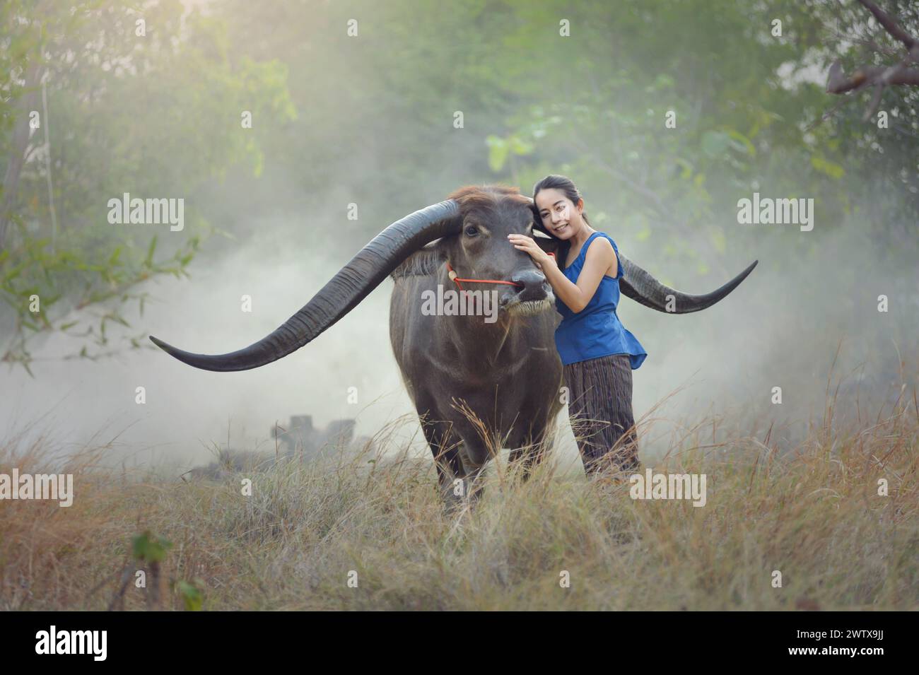 Porträt einer Frau, die auf einem Feld steht und einen Wasserbüffel streichelt, Thailand Stockfoto