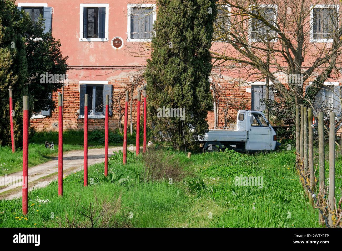 Die Insel Sant'Erasmo ist berühmt für den Anbau der San Erasmo Violet Artischocke. Fast alle Einwohner fahren mit dem Piaggio Ape Auto. Stockfoto