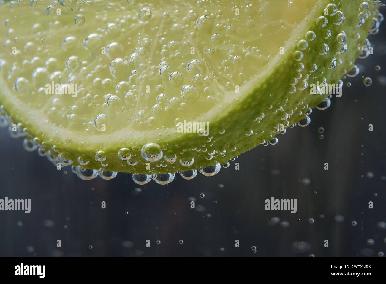Foto einer Scheibe Zitrone oder Limette in Mineralwasser auf dunklem Hintergrund. Schließen Sie die Zitrone mit Wasserblasen Stockfoto