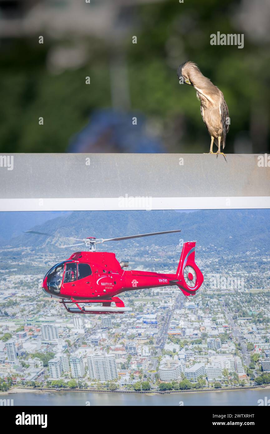 Ein einziger gestreifter Held steht auf einer Betonbarriere zu einem Hubschrauberlandeplatz, der sich über einem Poster eines Hubschrauberrundflugs erhebt. Stockfoto