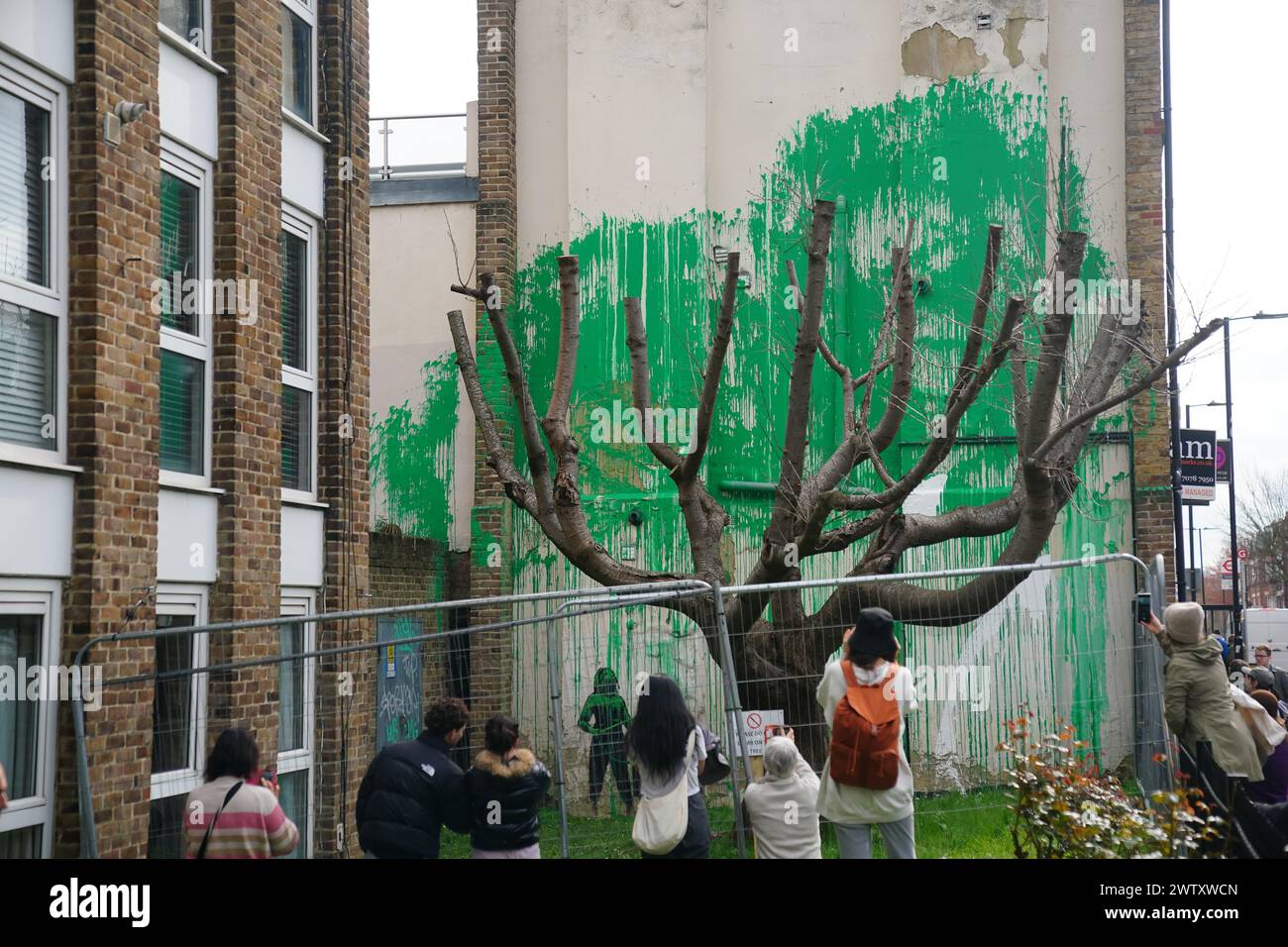 Das Banksy-Kunstwerk, das am Wochenende mit weißer Farbe an der Seite eines Wohnhauses an der Hornsey Road im Finsbury Park, London, aufgetaucht wurde. Auf das Gebäude wurde vor einem zurückgeschnittenen Baum hellgrüne Farbe gesprüht, die den Eindruck erweckt, als wäre es sein Laub. Eine Schablone einer Person, die einen Druckschlauch hält, wurde ebenfalls auf dem Gebäude skizziert. Die lebendige Farbe passt zu den Farben, die der Islington Council für Straßenschilder in der Gegend verwendet hat. Bilddatum: Mittwoch, 20. März 2024. Stockfoto