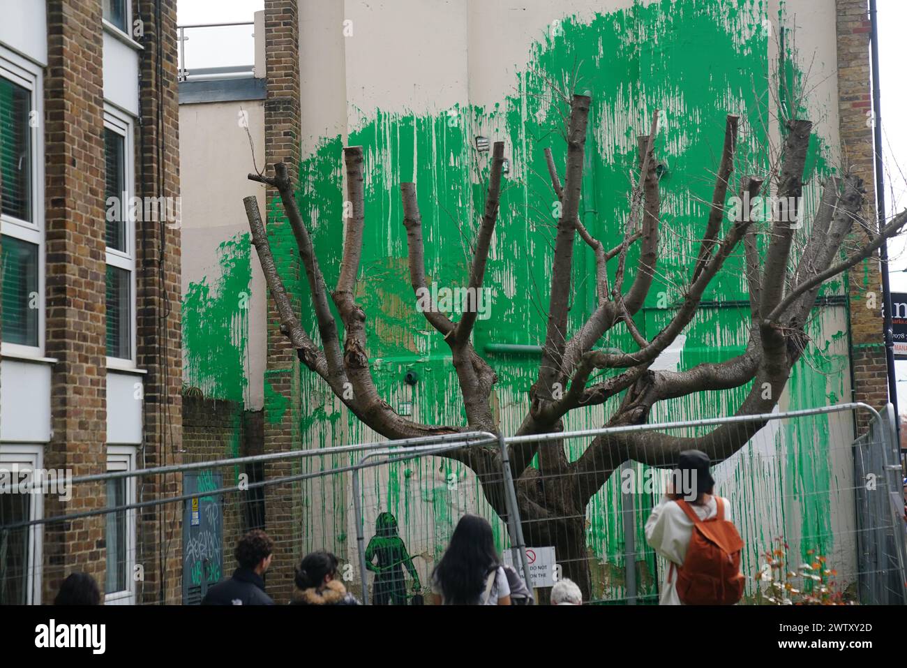 Das Banksy-Kunstwerk, das am Wochenende mit weißer Farbe an der Seite eines Wohnhauses an der Hornsey Road im Finsbury Park, London, aufgetaucht wurde. Auf das Gebäude wurde vor einem zurückgeschnittenen Baum hellgrüne Farbe gesprüht, die den Eindruck erweckt, als wäre es sein Laub. Eine Schablone einer Person, die einen Druckschlauch hält, wurde ebenfalls auf dem Gebäude skizziert. Die lebendige Farbe passt zu den Farben, die der Islington Council für Straßenschilder in der Gegend verwendet hat. Bilddatum: Mittwoch, 20. März 2024. Stockfoto