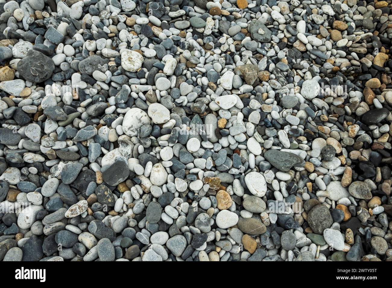 Steinkiesel am Strand Stockfoto