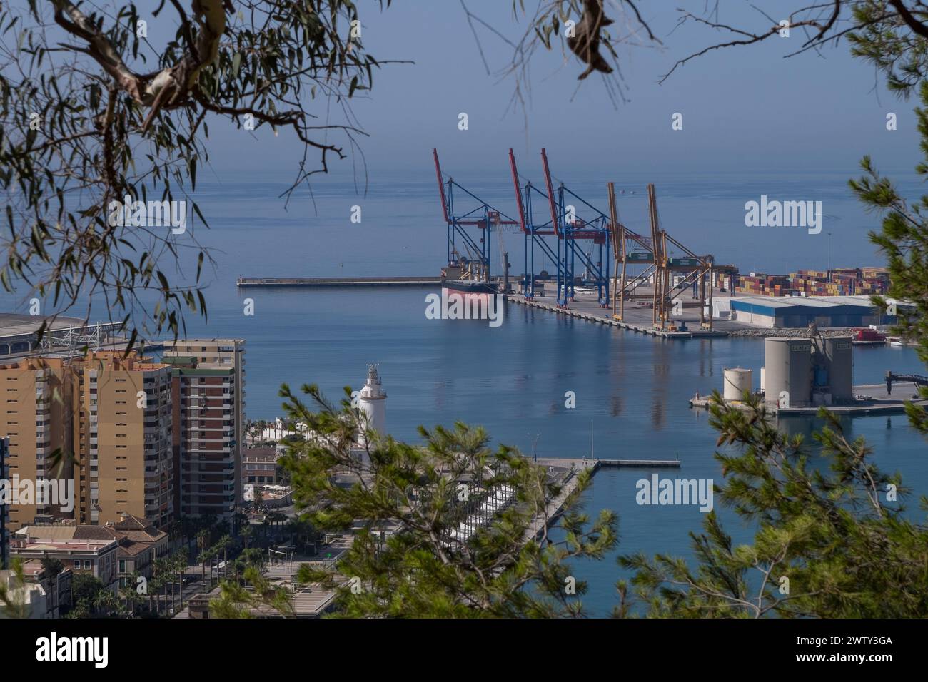 Hafen von Malaga zwischen Bäumen vom Aussichtspunkt Gibralfaro gesehen Stockfoto