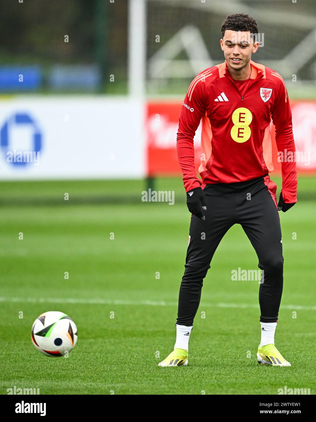 Brennan Johnson aus Wales während der offenen Schulung in Wales im Vale Resort Training Complex, Hensol, Großbritannien, 20. März 2024 (Foto: Craig Thomas/News Images) Stockfoto