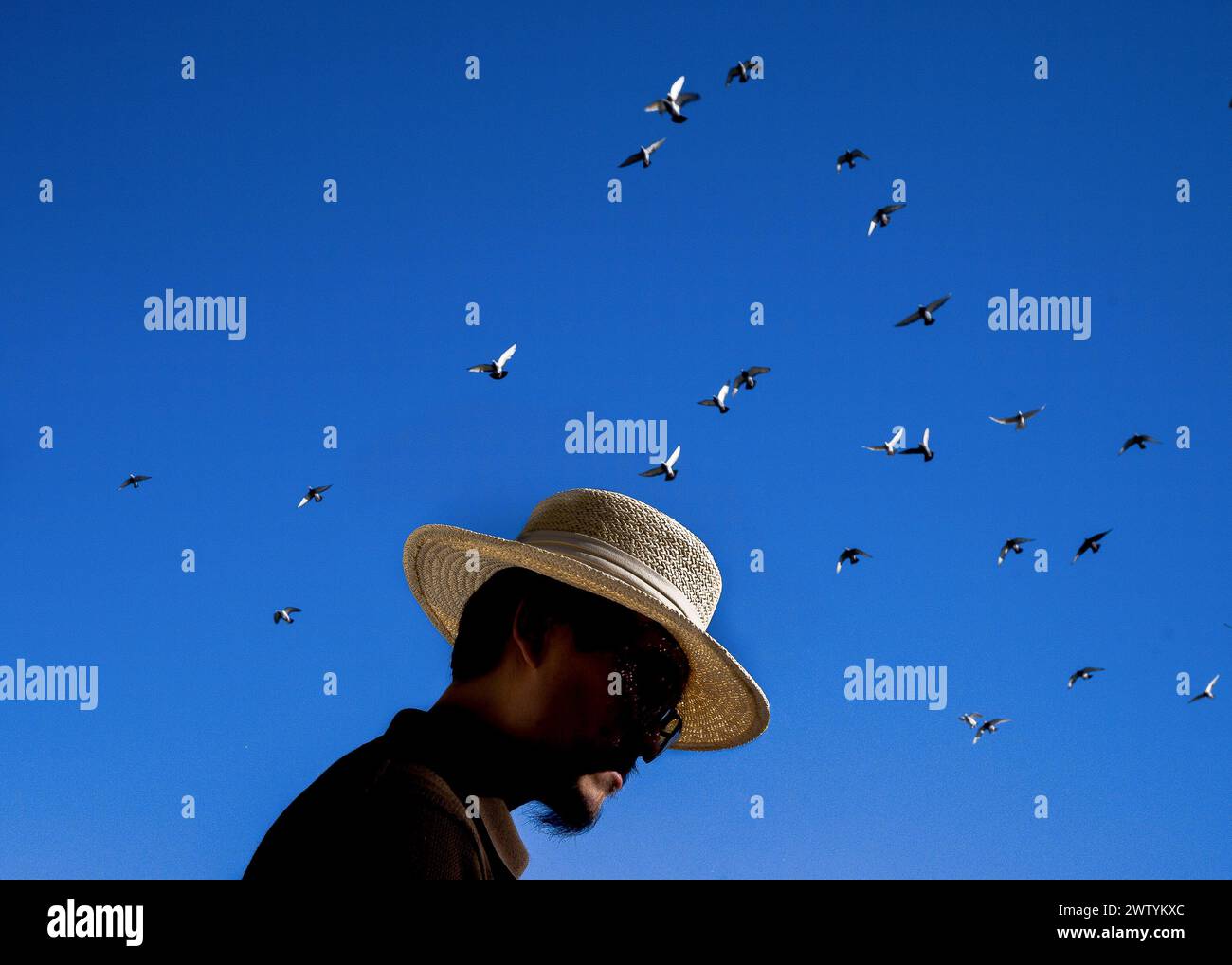 Von unten geschossen für einen Mann und Vögel am Himmel Stockfoto