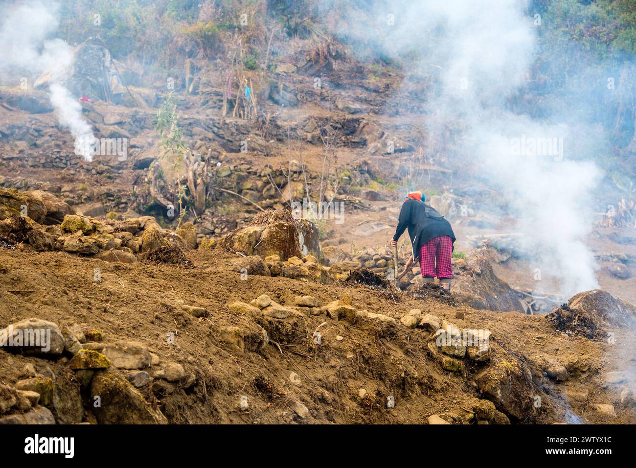 Land wird für die Landwirtschaft in Nagaland, Nordostindien, gerodet Stockfoto