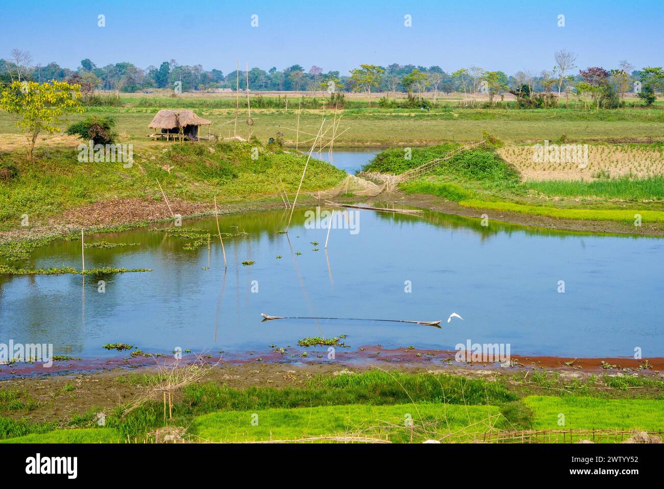 Traditionelle Landwirtschaft auf Majuli Island, Assam, Indien Stockfoto