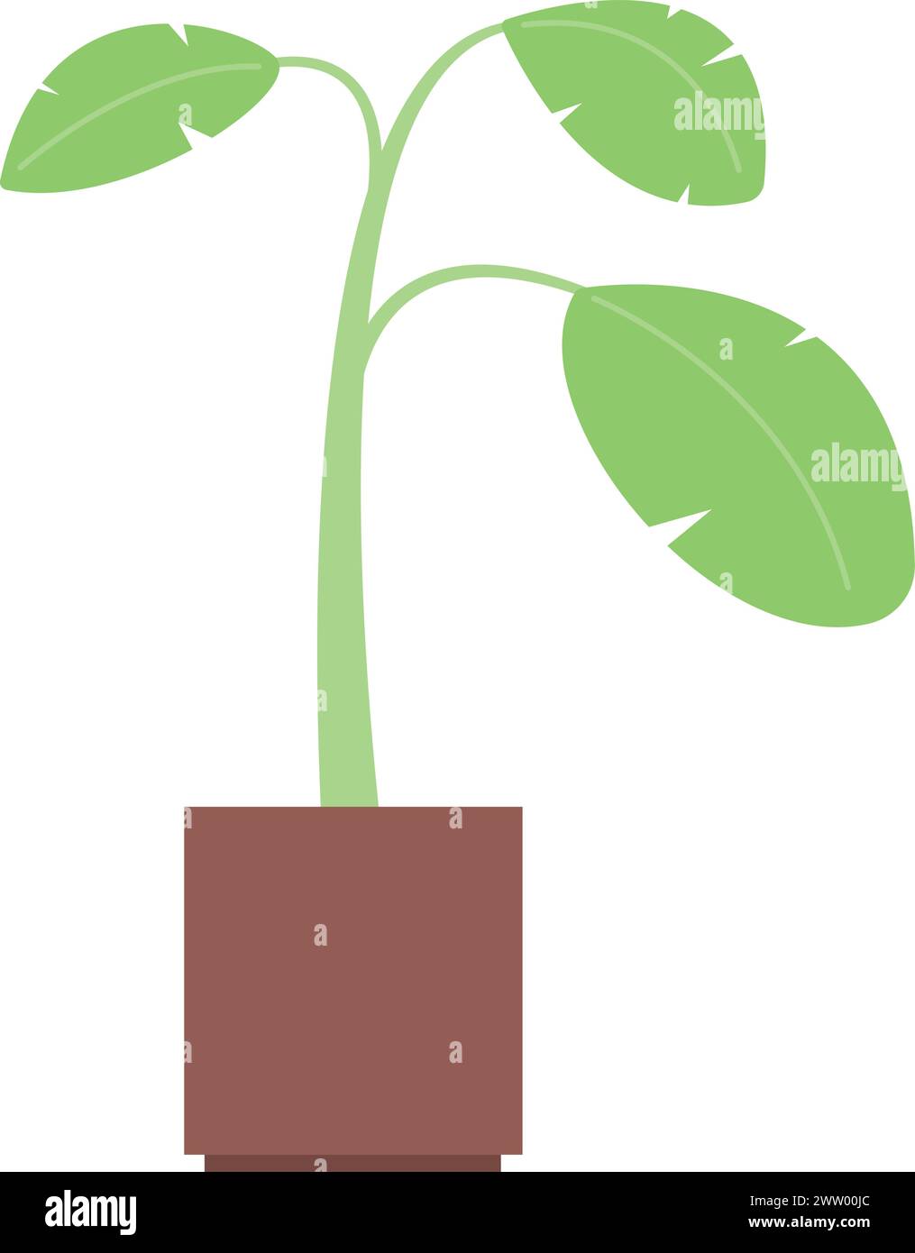 Farbsymbol für Zimmerpflanzen. Dekorative grüne Botanik Stock Vektor