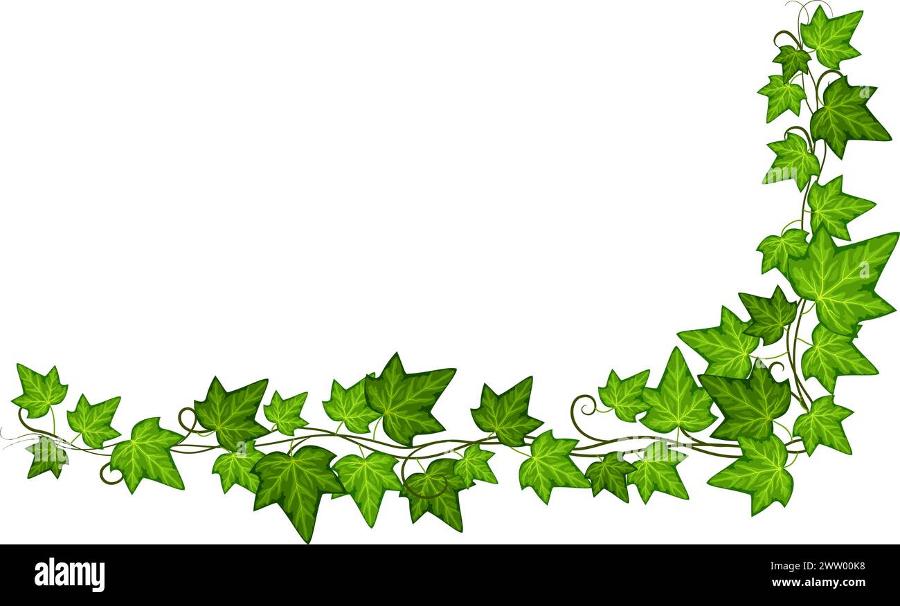 Ecke Ivy Vine. Grüner Zweig mit Blättern. Dekorative Botanik Stock Vektor Ecke Ivy Vine. Grüner Zweig mit Blättern. Dekorative Botanik Stock Vektor