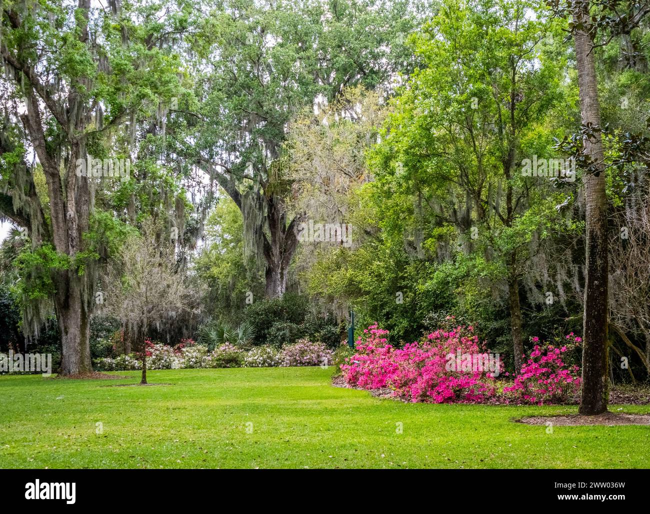 Bok Tower Gardens ist ein National Historic Landmark im National Register of Historic Places auf dem Iron Mointain im Lake Wales Florida USA Stockfoto