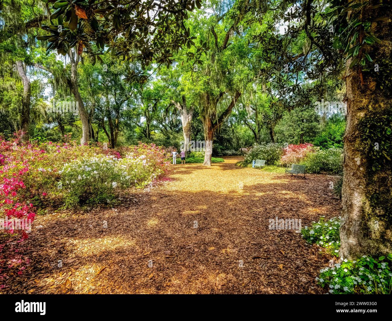 Bok Tower Gardens ist ein National Historic Landmark im National Register of Historic Places auf dem Iron Mointain im Lake Wales Florida USA Stockfoto
