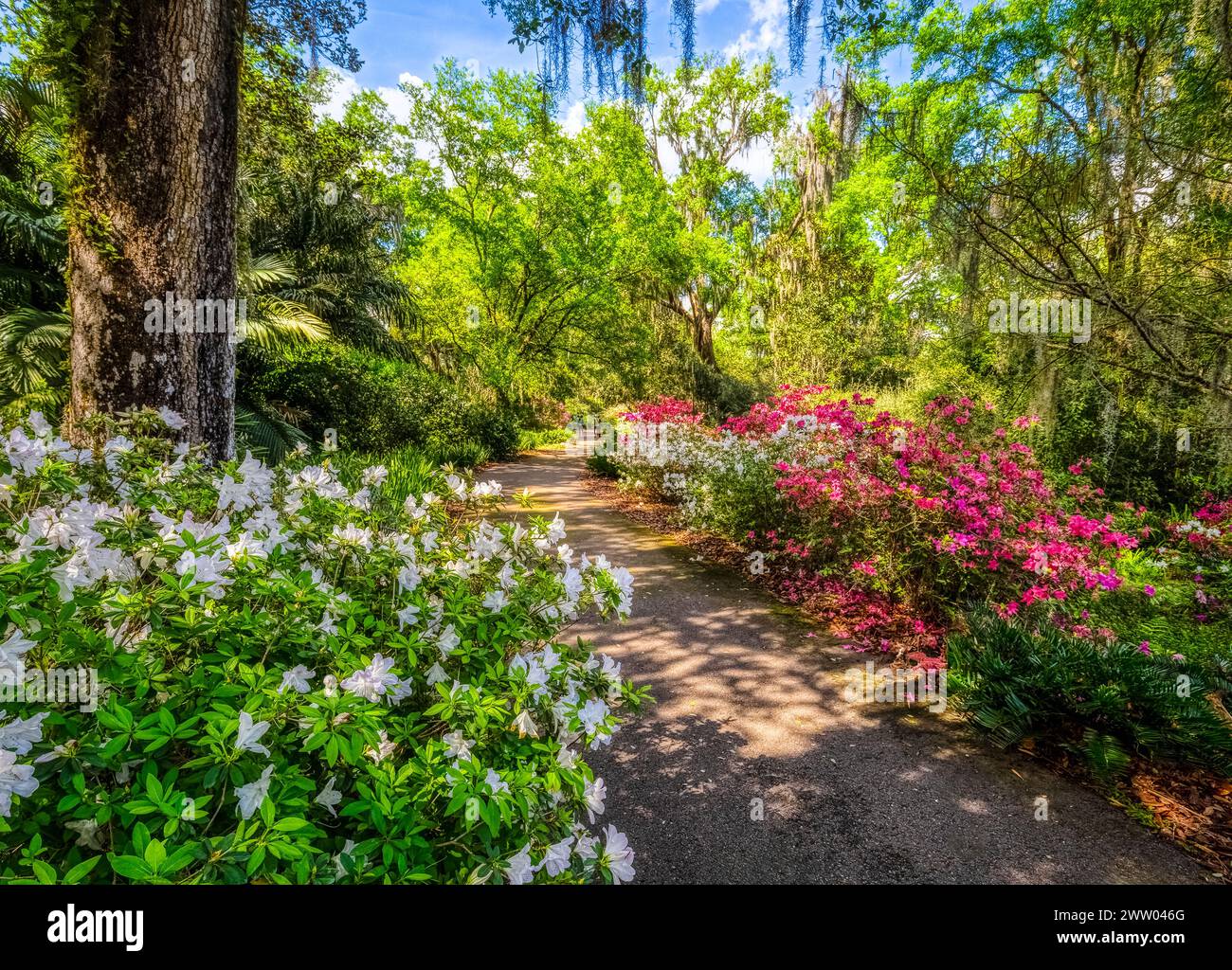 Bok Tower Gardens ist ein National Historic Landmark im National Register of Historic Places auf dem Iron Mointain im Lake Wales Florida USA Stockfoto