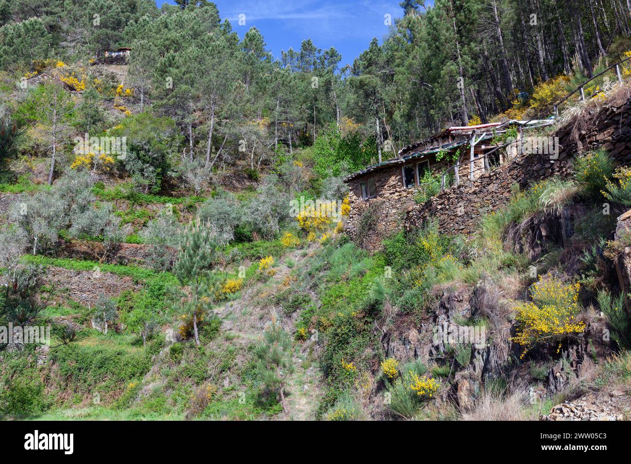 Portugal, Bezirk Coimbra, in der Nähe von Góis, Coicoos, „der Ziegenschuppen“ (bei Colmeal), Bauernhaus in ein Off-Grid-Haus umgewandelt Stockfoto