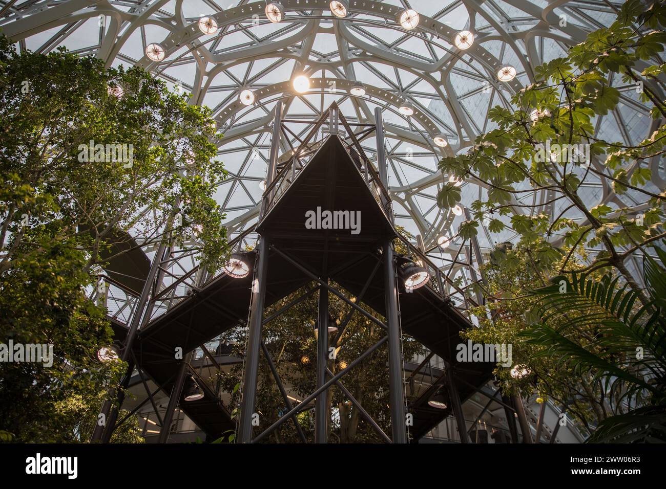 Amazon Sphären in Seattle, Washington Stockfoto