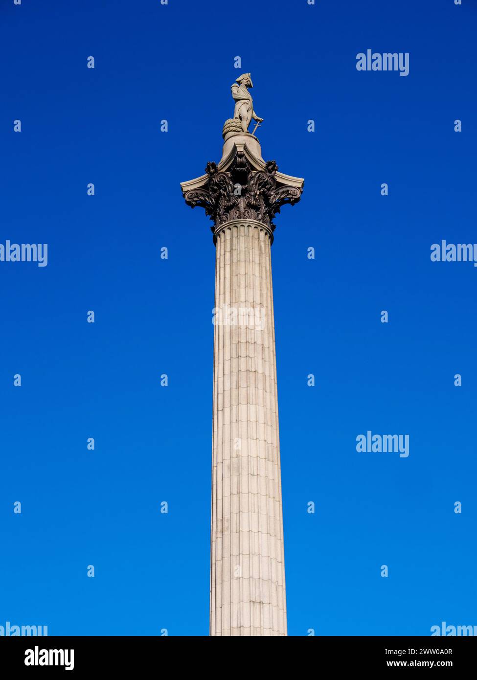 Nelson's Column am Trafalgar Square in London, Großbritannien Stockfoto