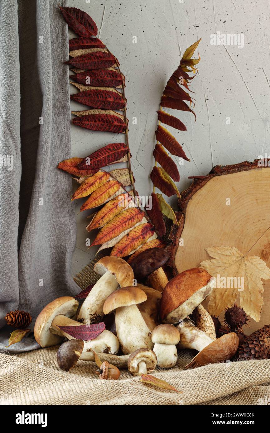 Boletuspilze und verschiedene herbstliche Waldgerichte auf rustikalem Tuch. Ein Stillleben mit Pilzen. Vertikales Foto. Stockfoto