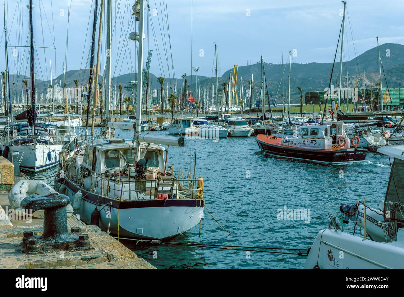 Mit seiner privilegierten geografischen Lage ist Yacht Port Cartagena ein Yachthafen mit der größten Geschichte des Mittelmeers. Region Murcia, Spanien, Europa. Stockfoto
